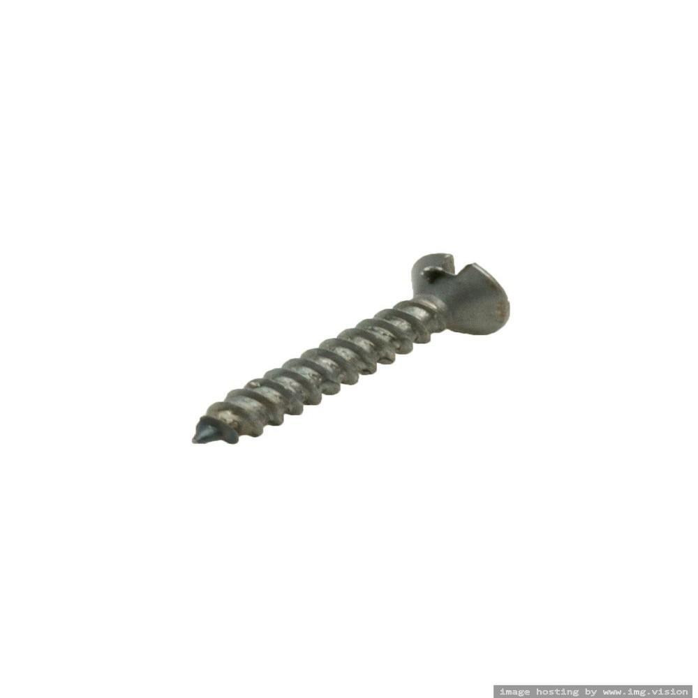 Homesmiths M.S Wood Screw 4mm x 0.75 inch - 2