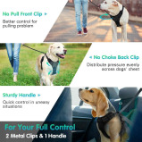 Eagloo / Dog harness, No pull, With 2 metal rings, Adjustable - 2 miniature