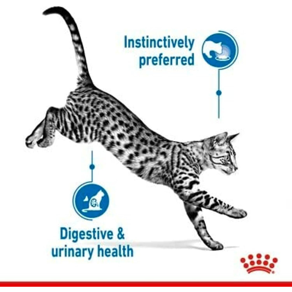 Wet Food Royal Canin FHN Indoor Jelly 12 x 85 g - 5