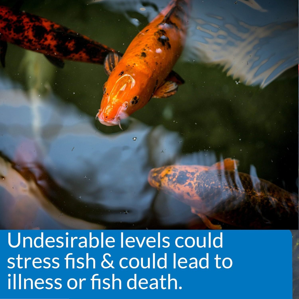 API, 5 in 1 Pond Water Test, 25 Strips - 5