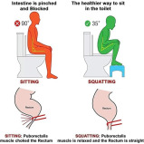 squatty Potty - Squatting Stool for Potty Assistance And Easy posture for Kids - 4 miniature