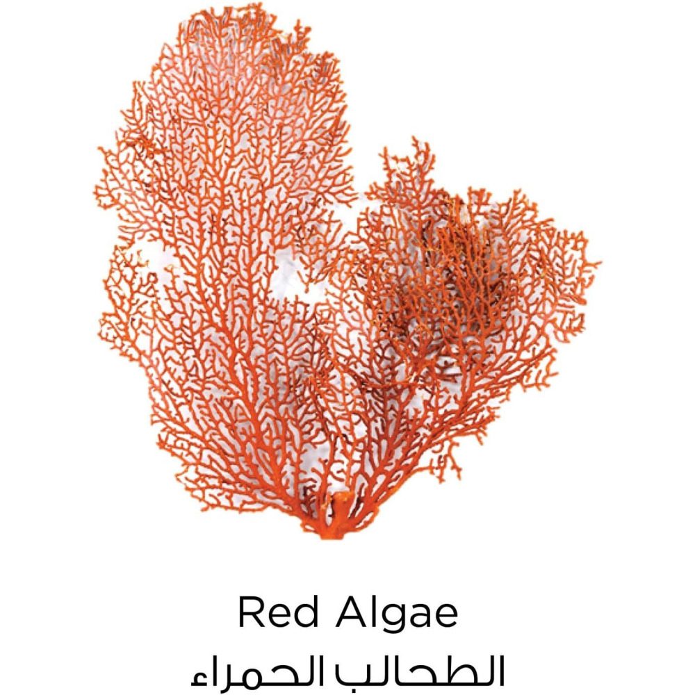 L'Oréal Paris Pure Clay Red Face Mask With Red Algae, Exfoliates And Brightens, 50 ml - 4