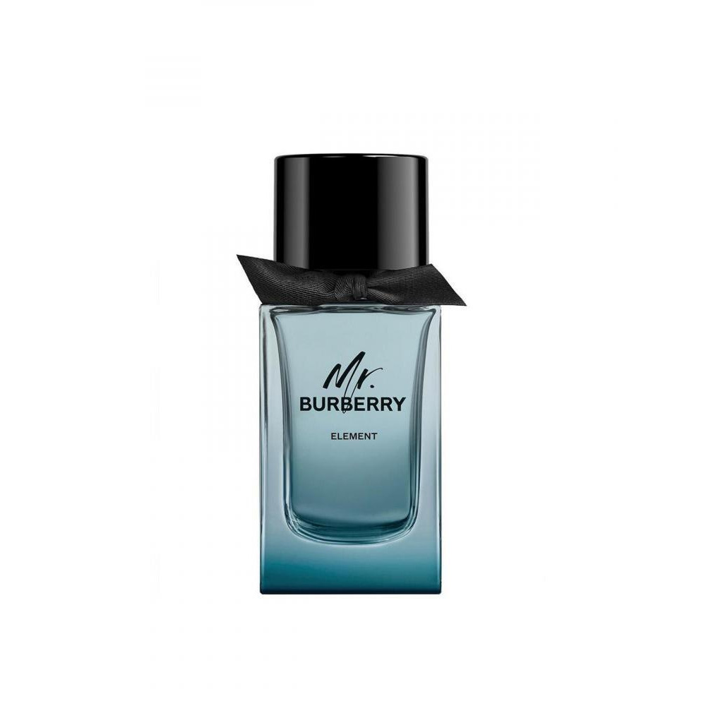 Burberry Mr Burberry Element For Men Eau De Toilette 100 ml - 1