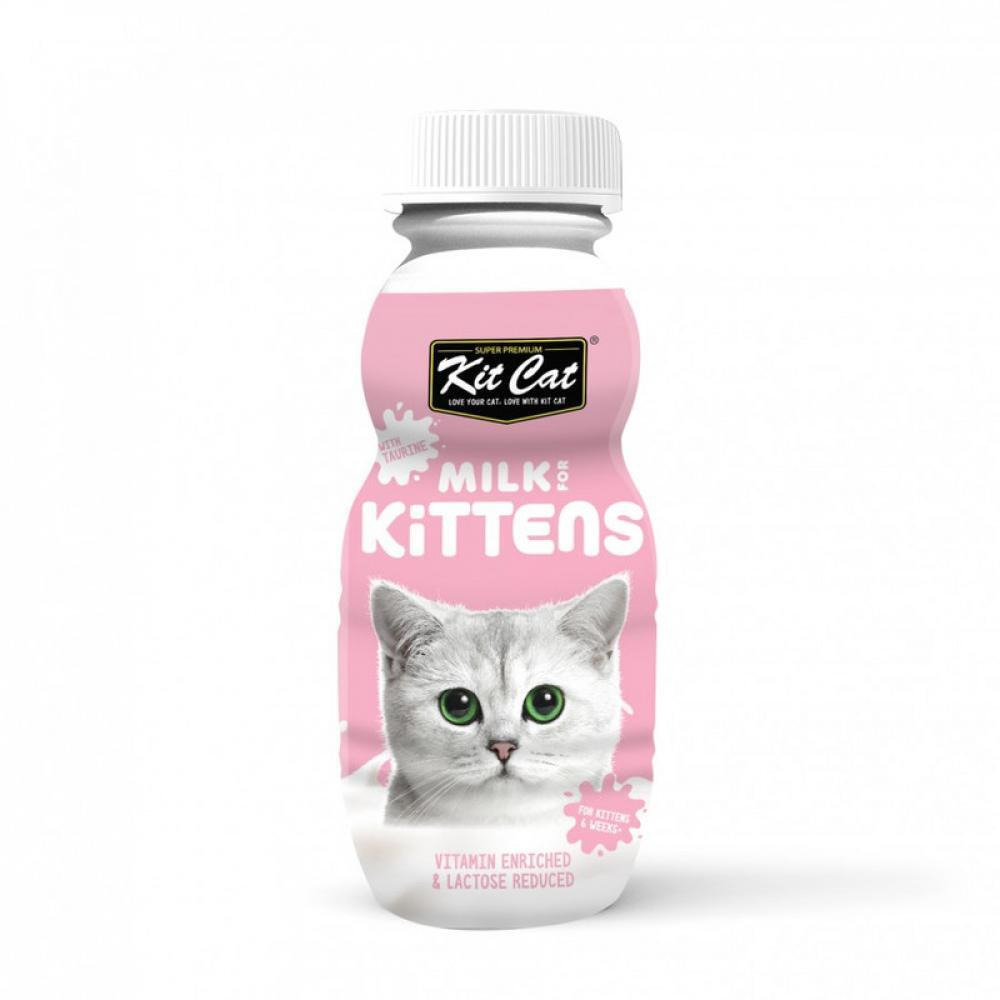 KitCat Milk - Kitten - 250ml - 1