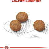 Royal Canin Shn Maxi Puppy 10 Kg Size Health Nutrition Dog Food, Multicolor - 4 miniature