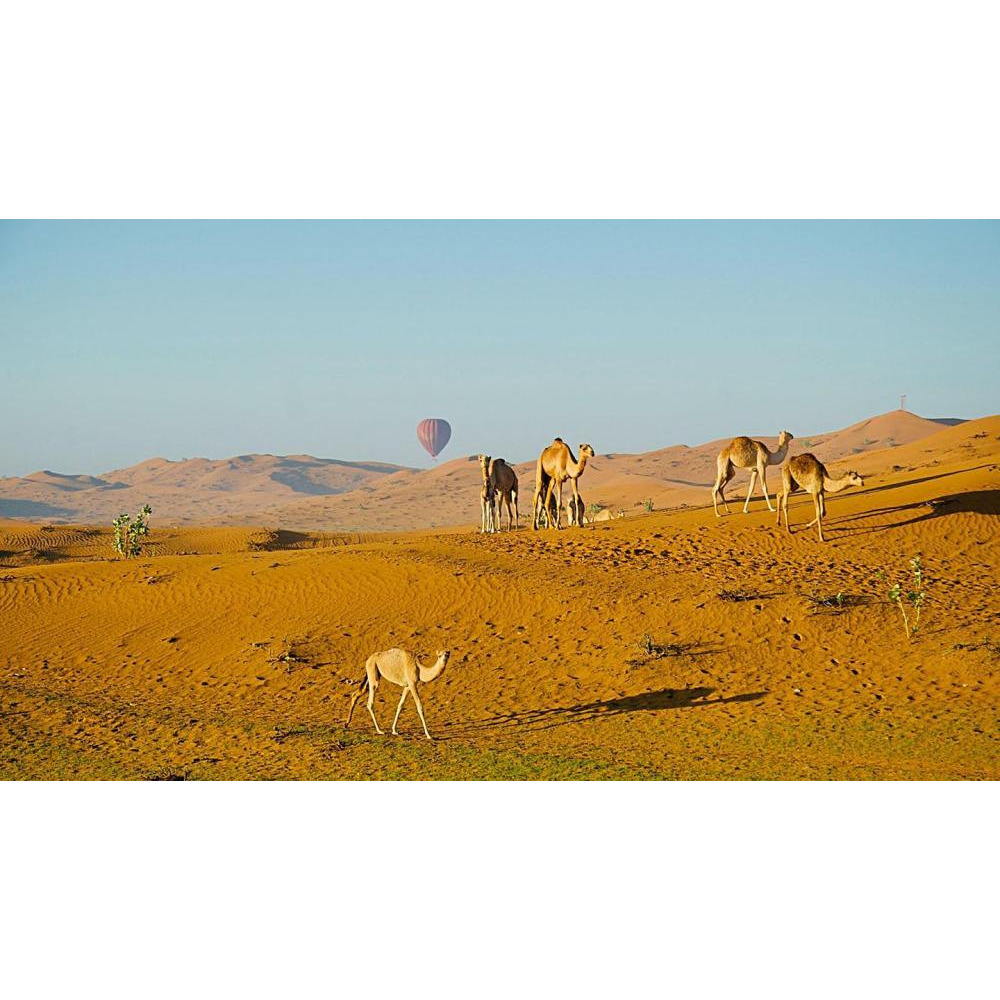 Wonderdays Premium Gift Box - Hot Air Balloon Flight for Child Over Ras Al Khaimah Desert with Breakfast - Unique gift for christmas, birthdays and an - 6