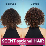 بلسم هيربال إيسنسز هالو هايدريشن للشعر الجاف، 400 مل - 2 miniature