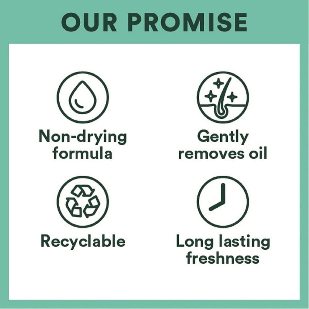 باتيست شامبو جاف - فروتي و الكرز، 200 مل - 2