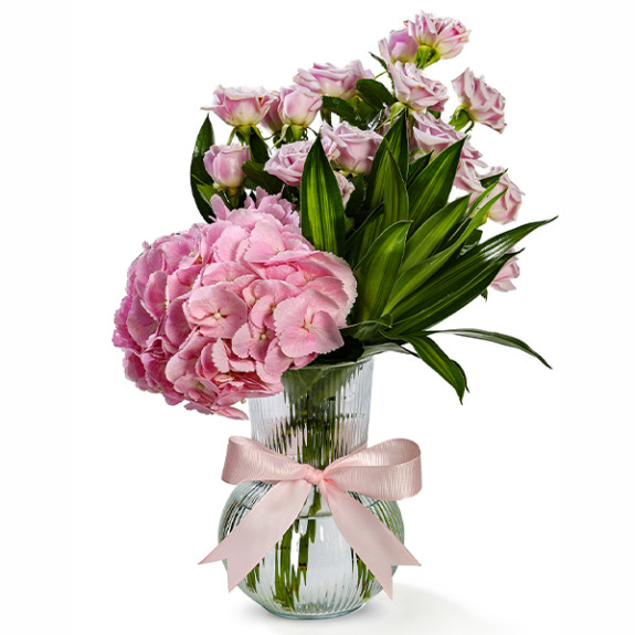 تهدئة الباستيل