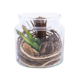 Homesmiths Artificial Plant In Glass Pot 125 x 160 mm - 2 miniature