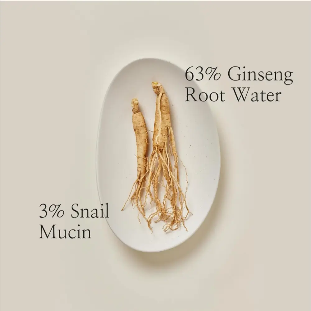 Beauty Of Joseon Revive Serum Ginseng + Snail Mucin - 3