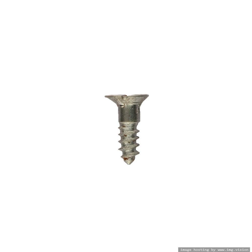 Homesmiths M.S Wood Screw 8mm x 0.75 inch - 2