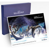 Wonderdays Premium Gift Box - Standard Dolphin and Seal Show seats for Two - Unique gift for christmas, birthdays and any other occasion - 1 miniature