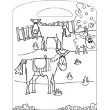 Hinkler On the Farm Coloring Book - 3 miniature