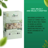 Nagaad Organic Frankincense Boswellia Carterii Organic Incense Resin - USDA Certified 100% Organic Luban - 2 miniature