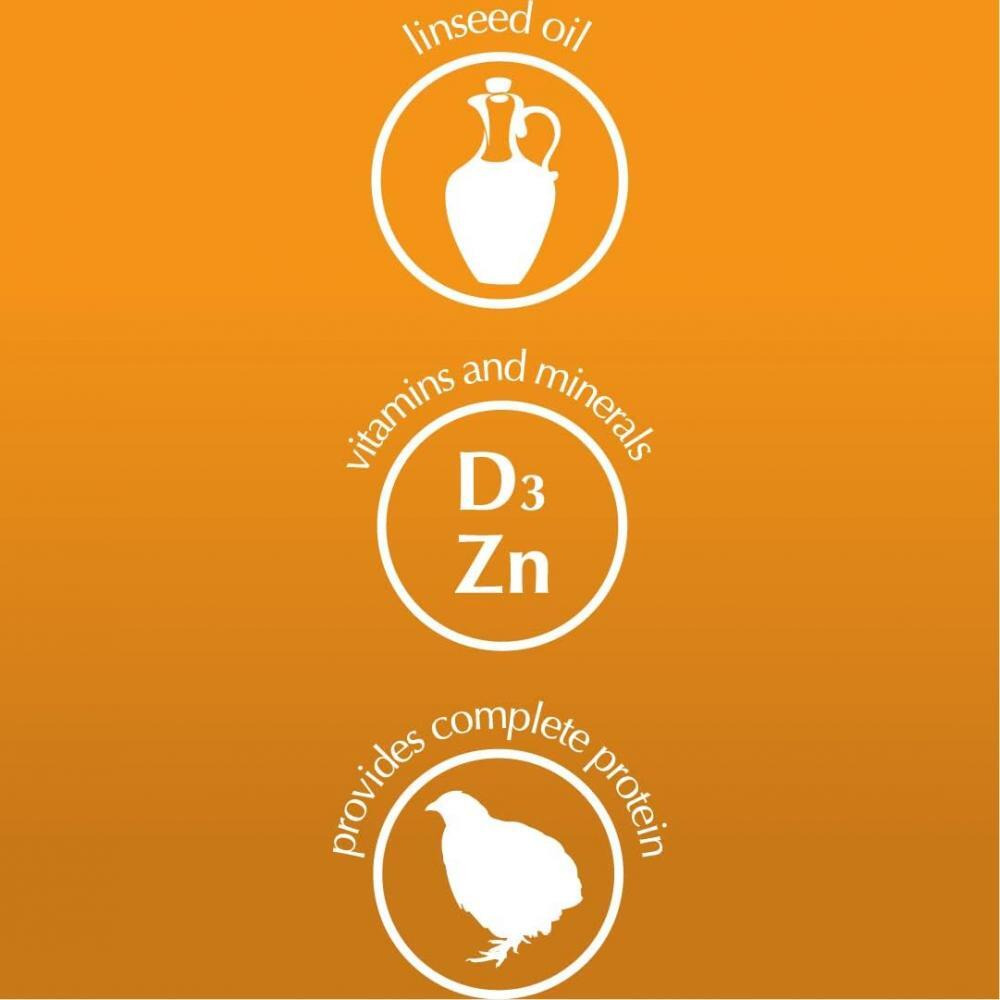 PIPER WITH QUAIL - 3