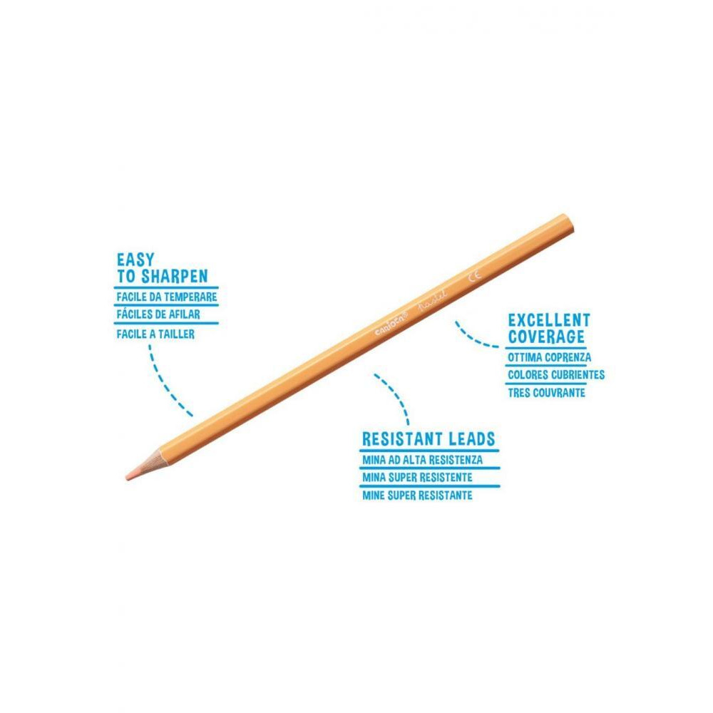 علبة أقلام تلوين باستيل من كاريوكا، 24 قلم - 1