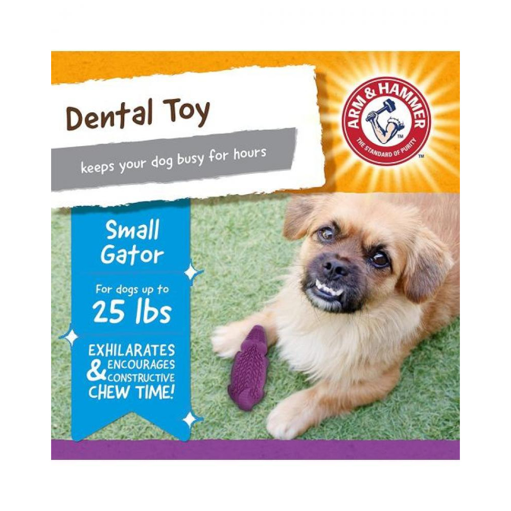 Arm and Hammer Super Treadz Mini Gator Toy for Dogs, Purple - 3