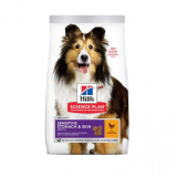 Hill's Science Plan Medium Adult Dog Sensitive Stomach & Skin - Chicken - 14kg - 1 miniature
