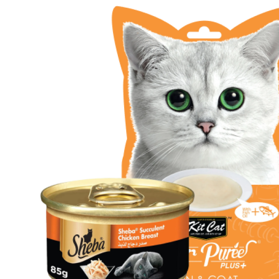 منتجات للقطط