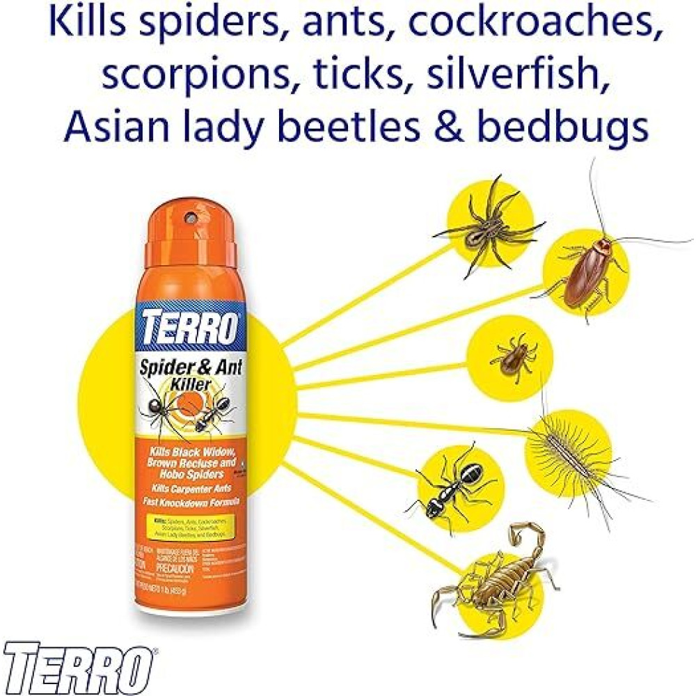 Terro 16 OZ Aerosol Spider Killer-3 Terro Multi-Insect Killer - Kills Spiders, Ants, Roaches \& More  - 2