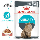 Royal Canin, Wet food, Urinary care in gravy, Pouch box, 12 x 3 oz (12 x 85 g) - 1 miniature