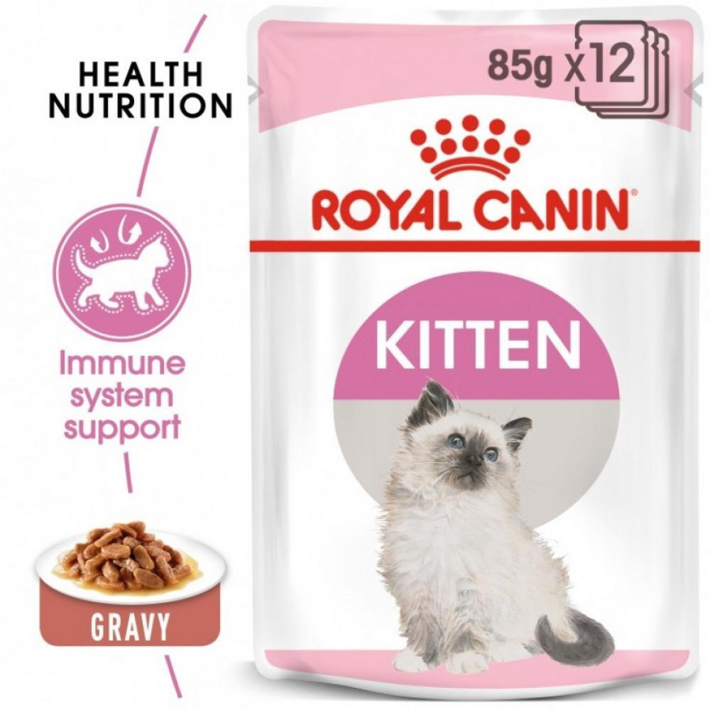 Royal Canin \/ Wet food, Kitten, Gravy, 3 oz (85 g) - 1