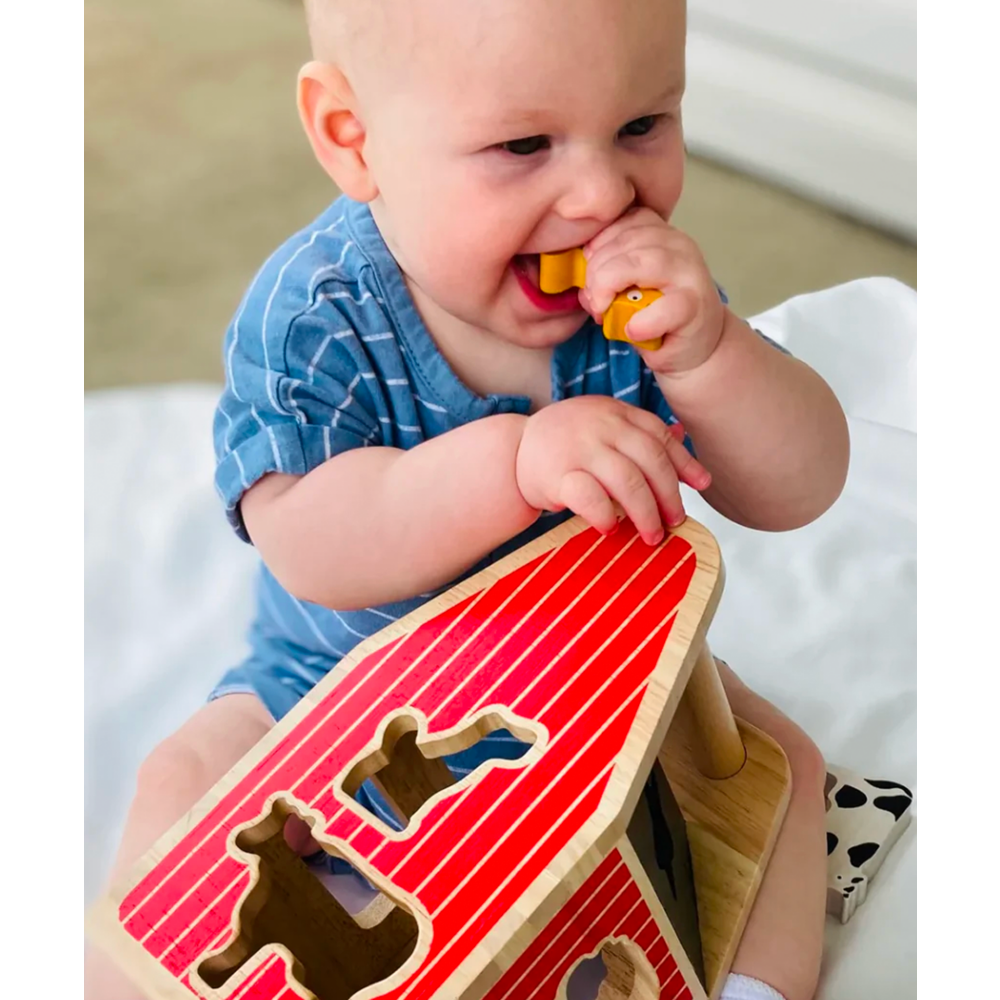 Toy BeginAgain Barnyarn shape sorter - 6