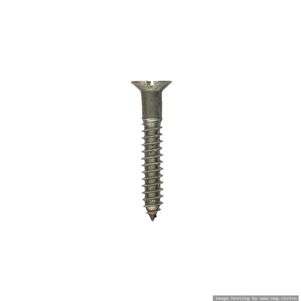 Homesmiths M.S Wood Screw 10mm x 1.5 inch - 2