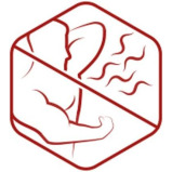 Old Spice, Anti-perspirant Deodorant Stick for Men, Bearglove, 50ml - 5 miniature