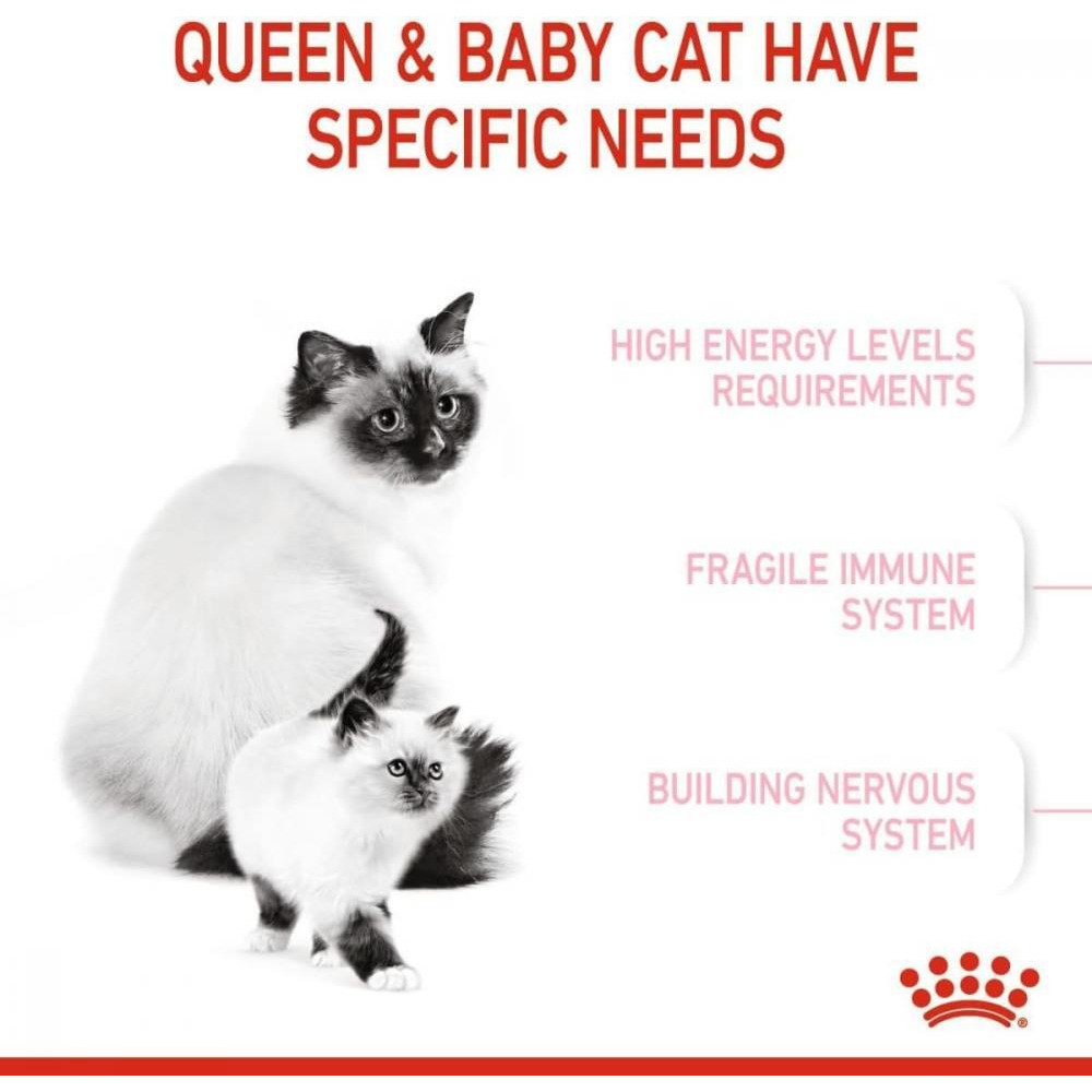 Royal Canin \/ Dry food, Mother and babycat, 10 kg - 3