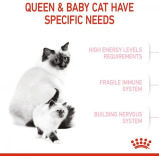 Royal Canin \/ Dry food, Mother and babycat, 10 kg - 3 miniature