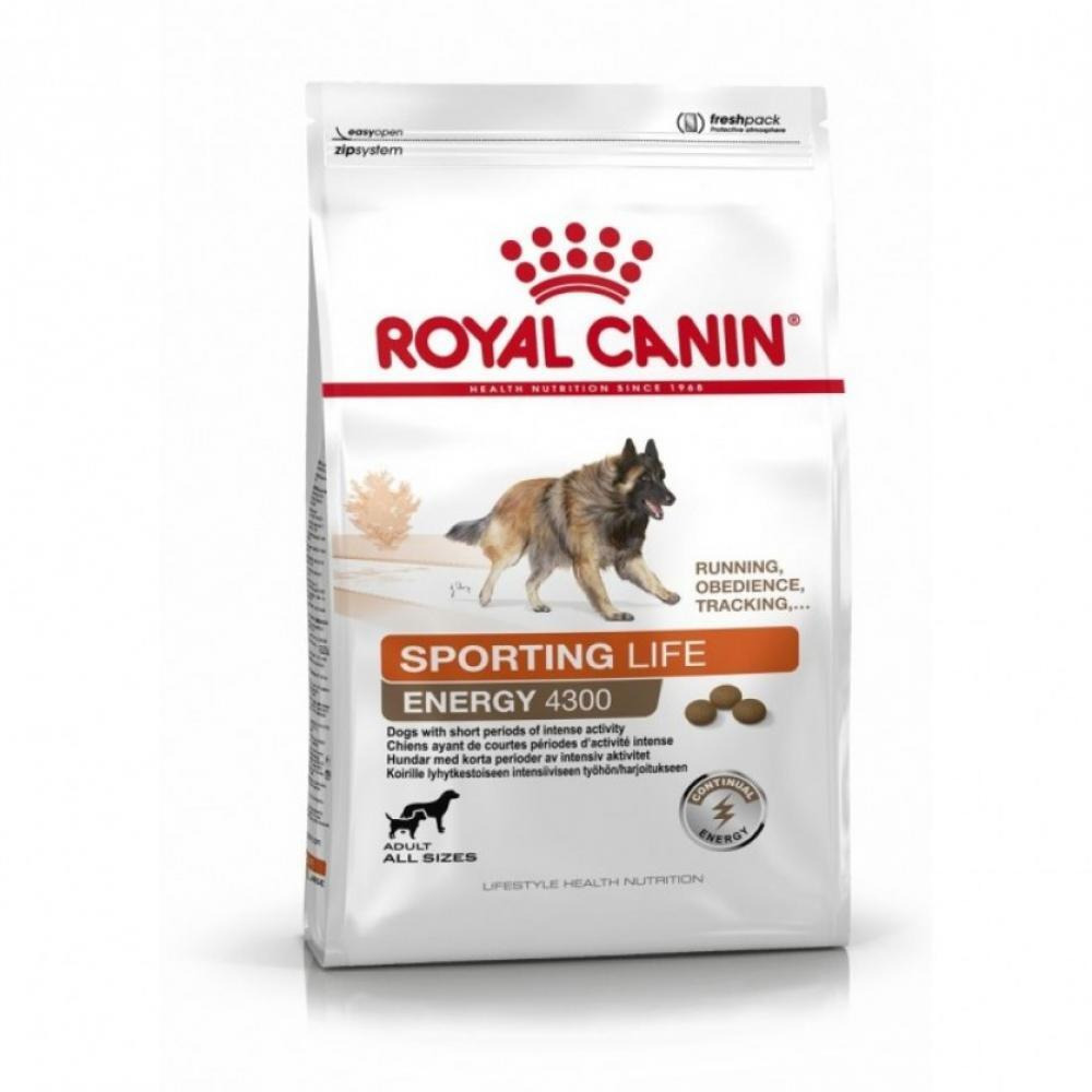 Royal Canin \/ Sport life trial 4300, 529,1 lbs (15 kg) - 1