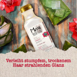 Maui Moisture Shine Enhancing Aloe Vera Vegan Shampoo, 385Ml - 2 miniature