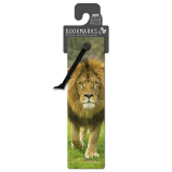 3D Bookmarks by If - African Lion - 1 miniature