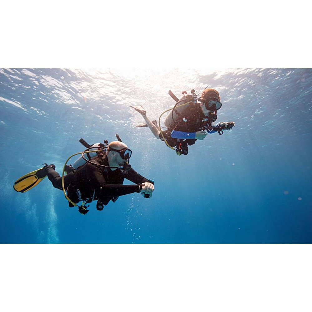 Wonderdays Premium Gift Box - Scuba Diving and Snorkeling with Turtles including BBQ Lunch - Unique gift for christmas, birthdays and any other occasi - 2