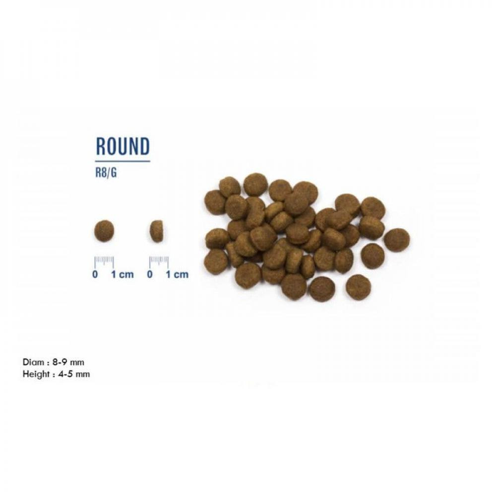 Probiotic Live Adult Mini Breeds Salmon - 2