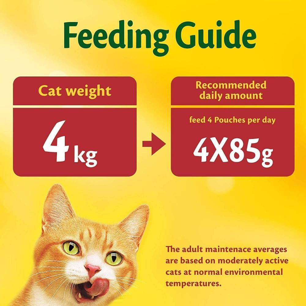 Purina FRISKIES, Влажный корм для КОШЕК, Говядина, куски в СОУСЕ, ПАКЕТИК, 3 УНЦИИ (85 г) - 3