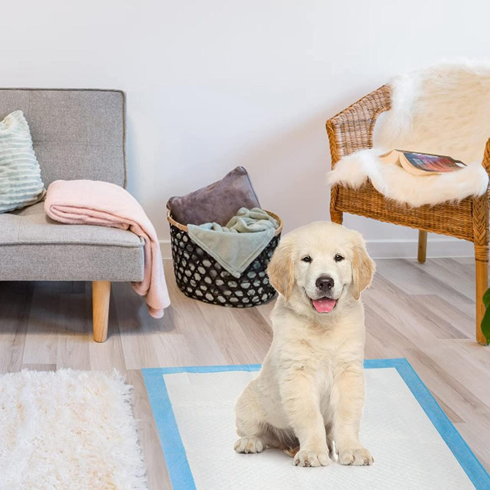 Sky-Touch / Urine pads, Pet potty training, 40x60 cm, 50 pcs, Absorbent - 6