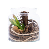 Homesmiths Artificial Plant In Glass Pot 125 x 160 mm - 1 miniature