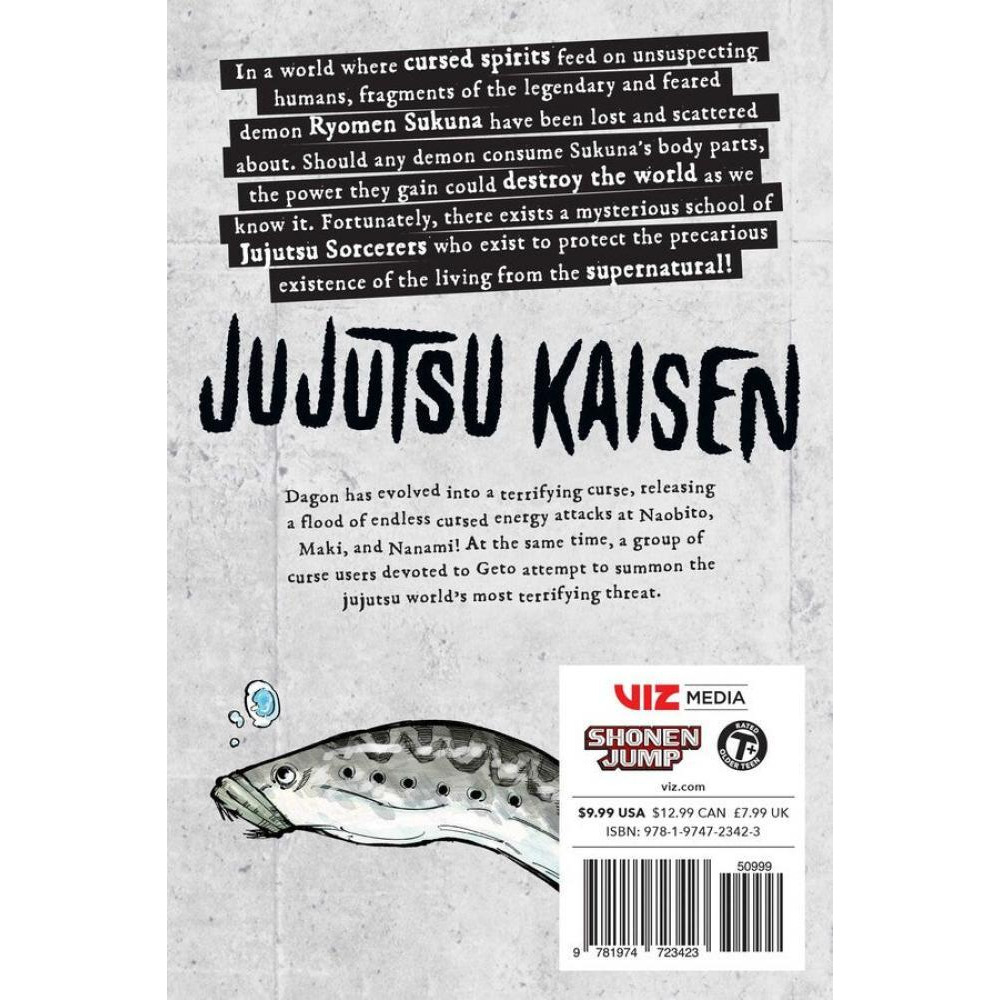 Jujutsu Kaisen, Vol. 13 - 2