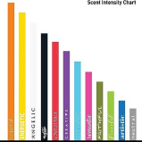 Be In A Good Mood Car Fragrance, Earl Grey - 7 miniature