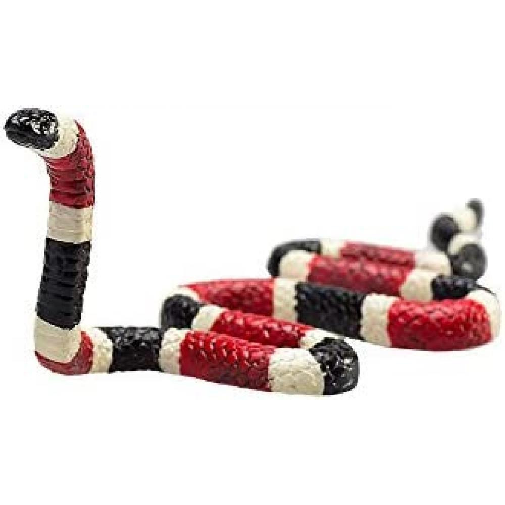 Coral Snake - 5
