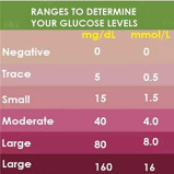 Trister / Ketone & glucose test strips, TS-390UGK, 50 pcs - 2 miniature