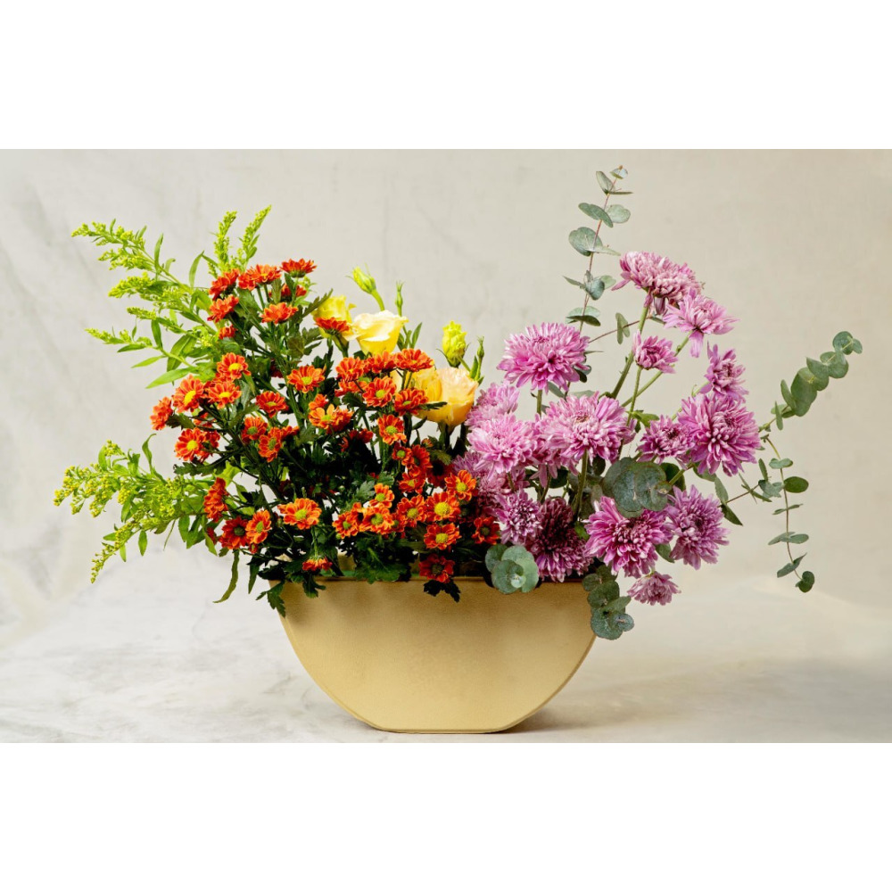 Chrysantimum Medley In A Box - 1