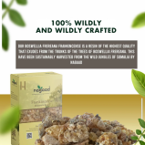 Nagaad Frankincense Boswellia Frereana Resin – 100% Organic, Wild Harvested Luban for Aromatherapy, Meditation, Purification & Stress Relief – 56.8g - 3 miniature