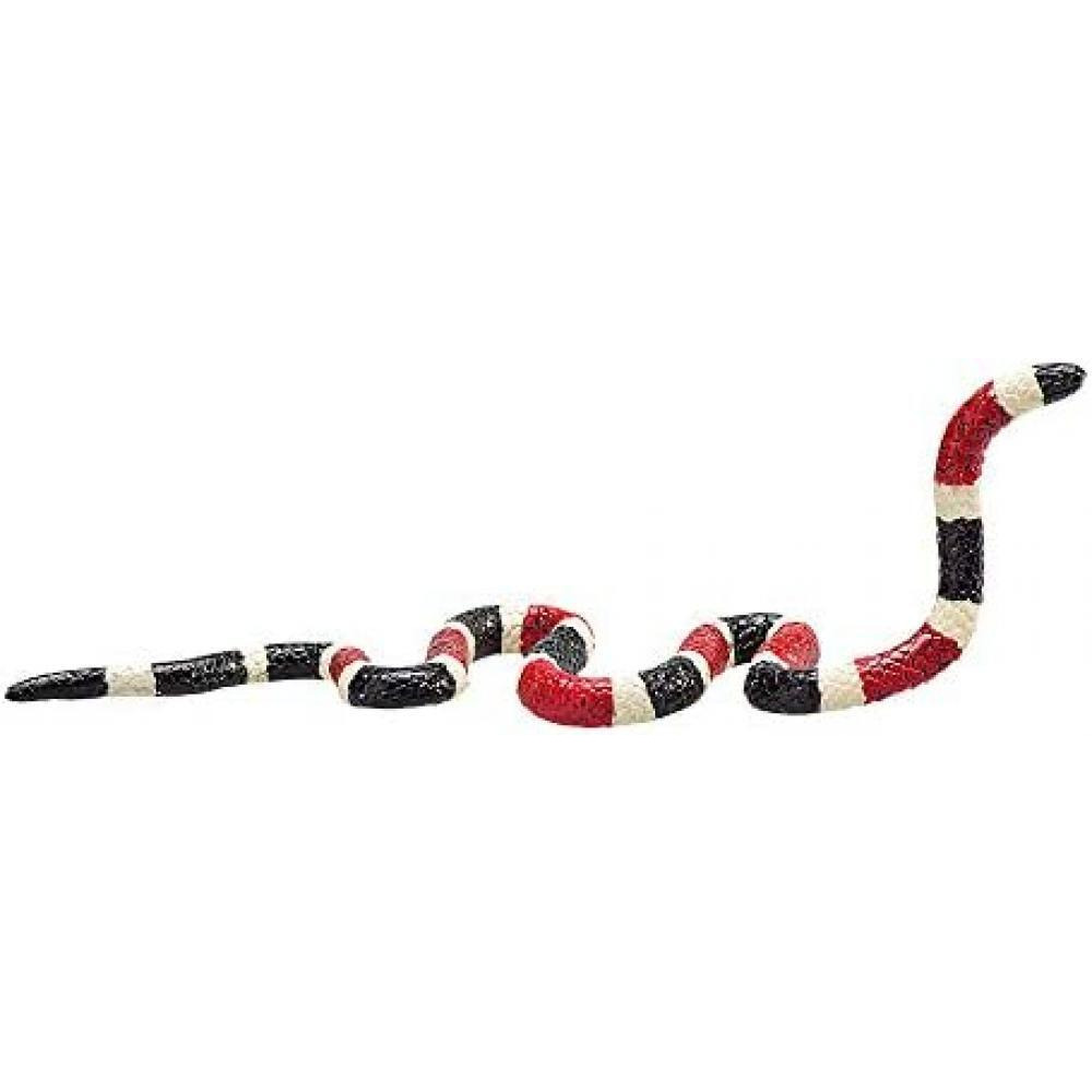 Coral Snake - 3