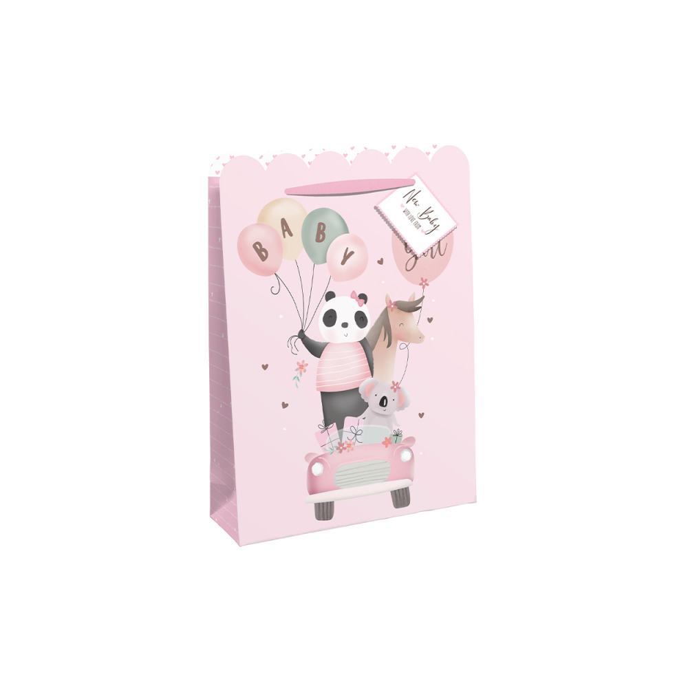 Gift Bag Eurowrap Baby Girls Car Large - 1