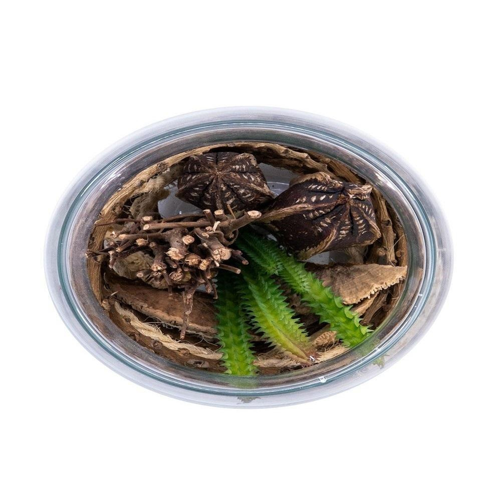 Homesmiths Artificial Plant In Glass Pot 125 x 160 mm - 3