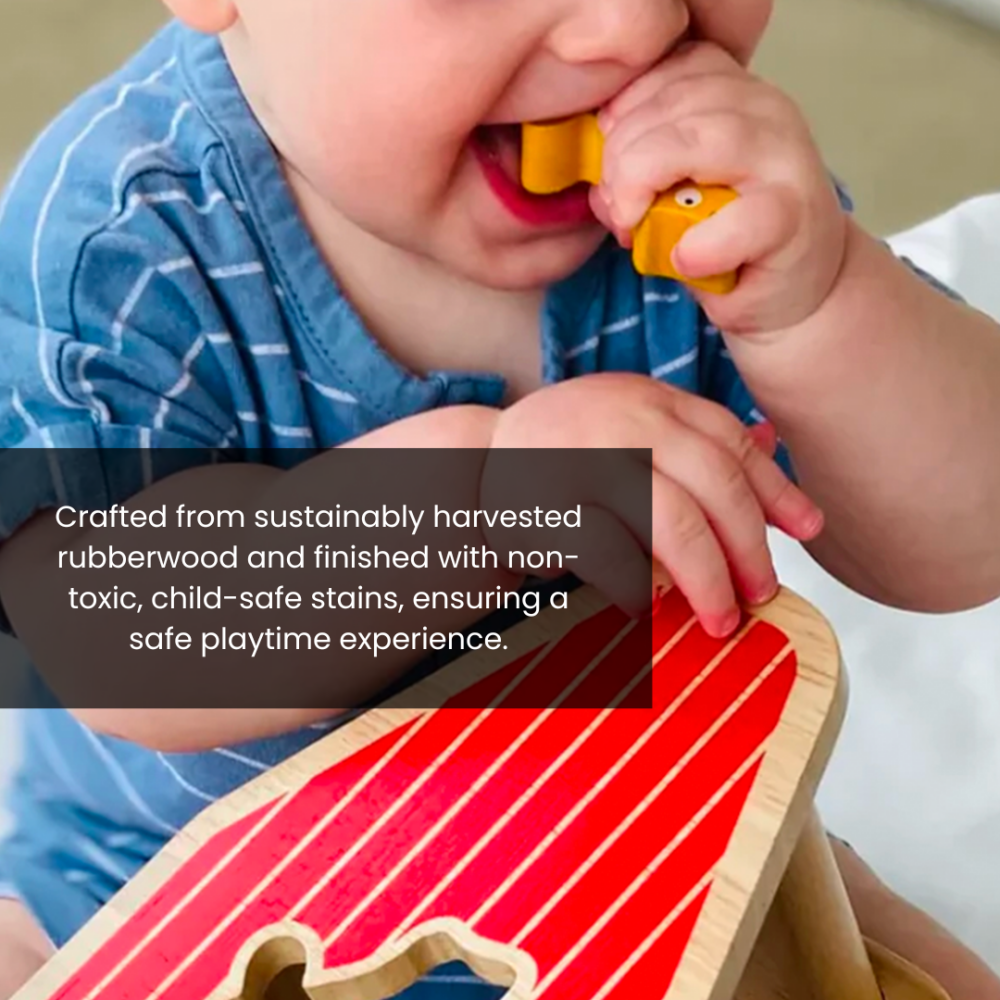 Toy BeginAgain Barnyarn shape sorter - 5